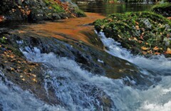 定山渓白井川(蔵出）