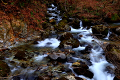 晩秋渓流Ⅰ