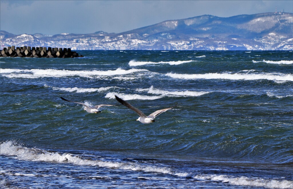 小樽銭函海岸