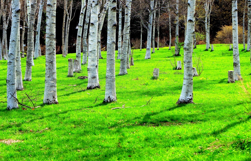 lこれからの季節