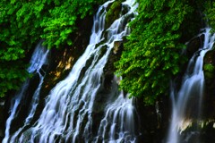 美瑛白しげの滝