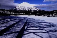 木陰と羊蹄山