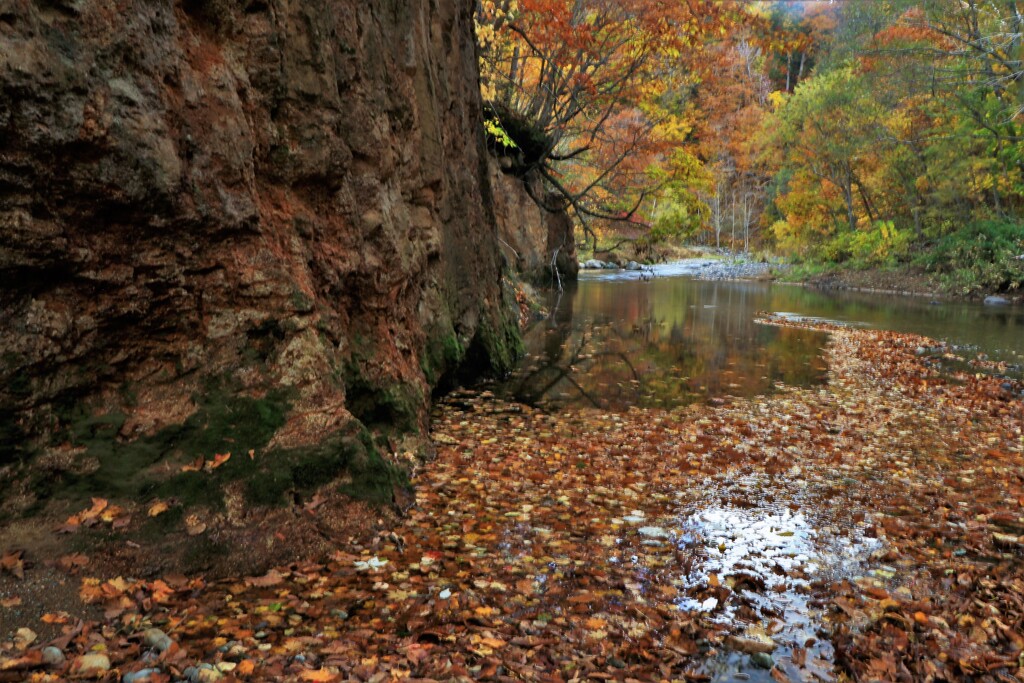 定山渓豊平川紅葉