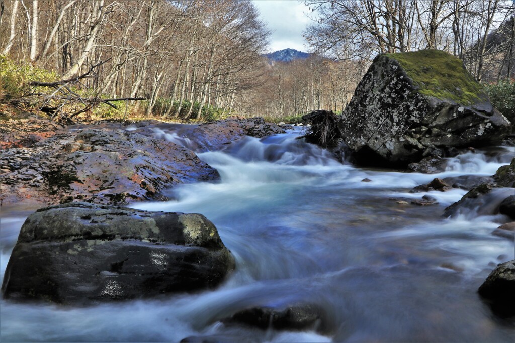 晩秋の川