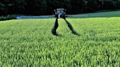 麦畑にセスナ機が？