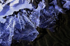 春遠い氷の世界