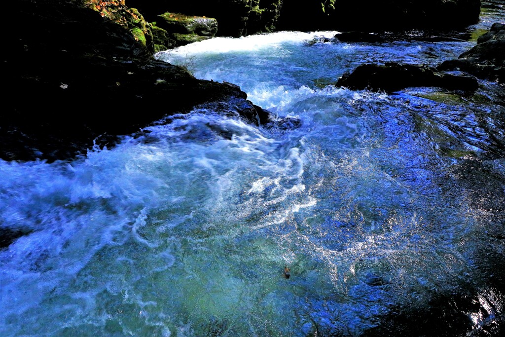 あ~あ川の流れのように♪　　　　　　　　　　　　　　　　　　　　　