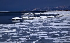 春がやって来る