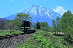 新緑と北の旅人