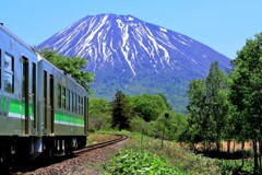 新緑、北の旅人