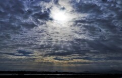 冬の空