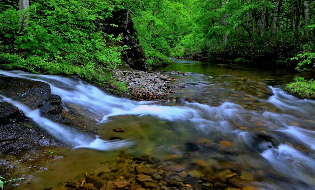 定山渓オタルナイ川渓流