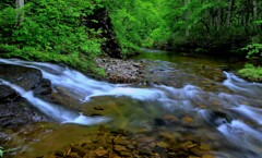 定山渓オタルナイ川渓流