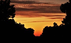 夕日が泣いている(帰り道）