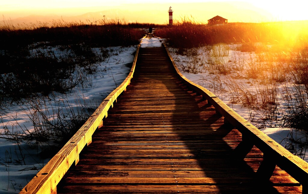 石狩灯台と木道