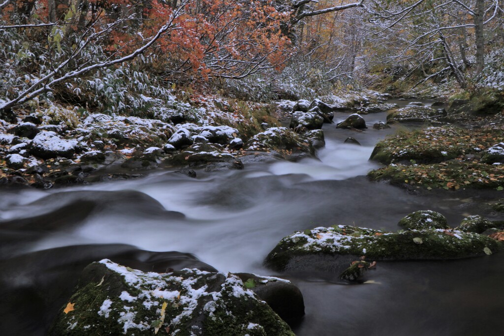 冬が来る前に♪