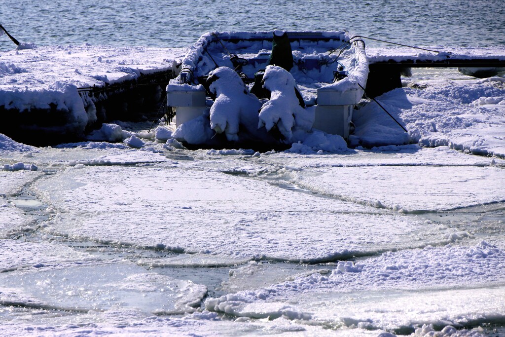 凍てつく石狩川河口