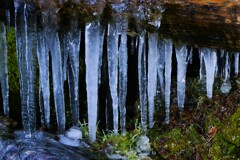 氷柱 氷柱