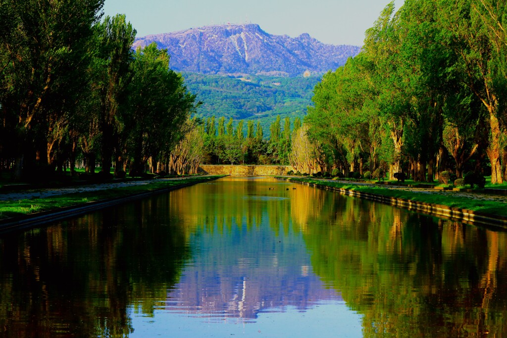 森林公園のカナ－ル