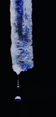 春がやってくる(蔵出) 春がやってくる(蔵出)