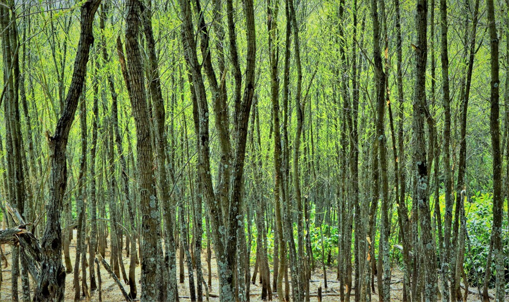 lこれからの季節