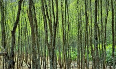 lこれからの季節