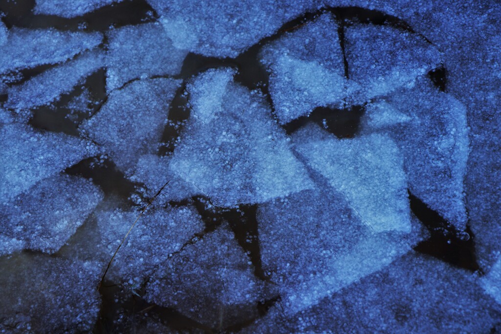 もうこのような季節に