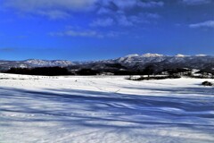 長い黒髪(木影）