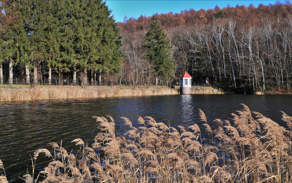 札幌西岡公園（旧水源地）