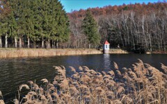 札幌西岡公園（旧水源地）