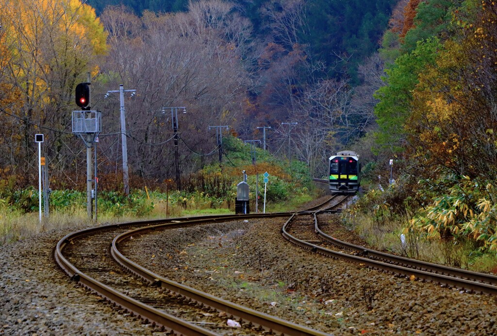 晩秋、北の旅人
