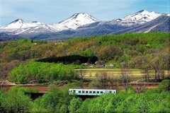 函館本線山線(再投稿）後方ニセコ連邦