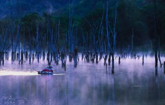 釣り人（落合ダムⅡ）