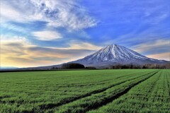 羊蹄山Ⅰ