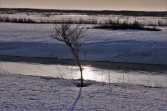 雪解け～