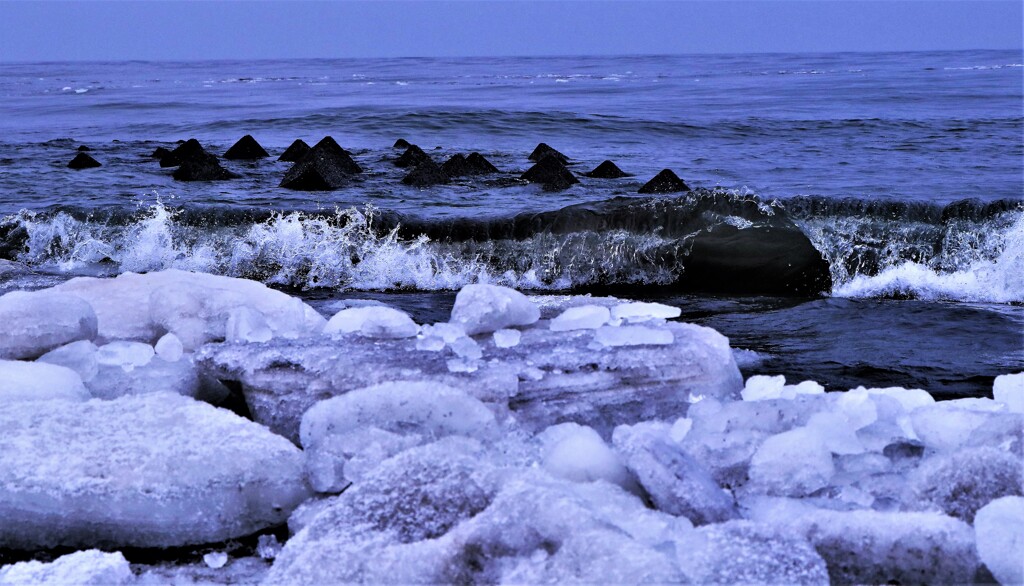 春がやって来る～