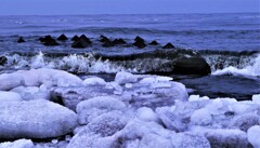 春がやって来る～