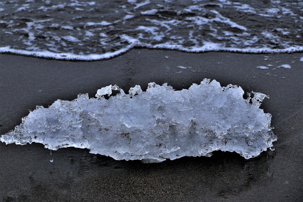 砂浜の氷