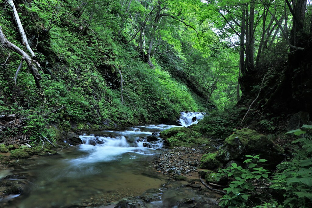 あ～あ川の流れのように♪