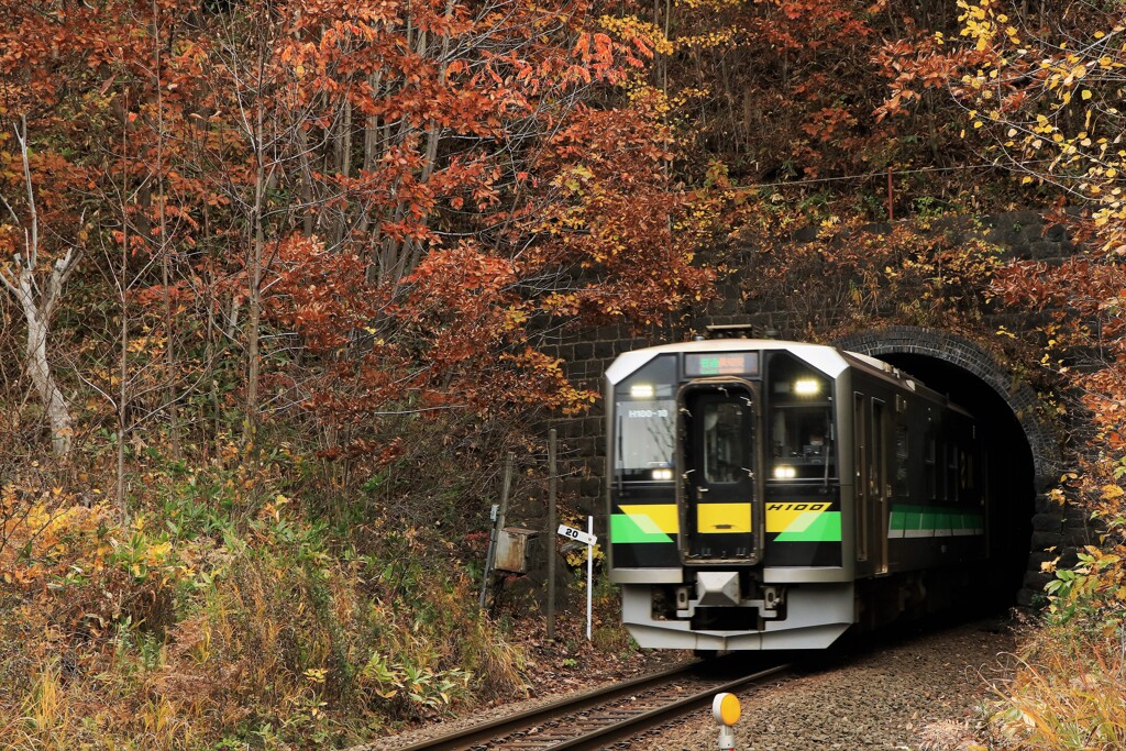 晩秋の小樽塩谷トンネル
