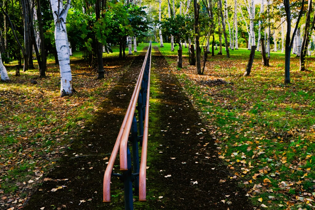 札幌手稲前田森林公園から