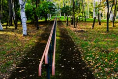 札幌手稲前田森林公園から