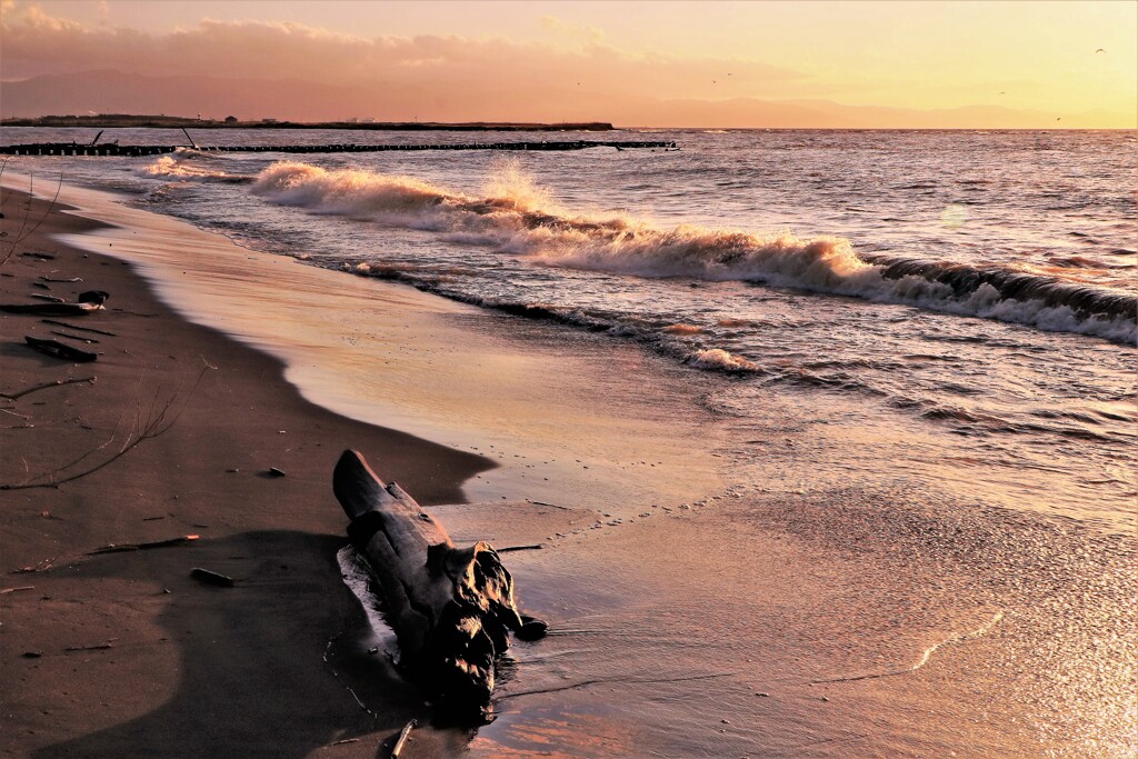 石狩川河口の海