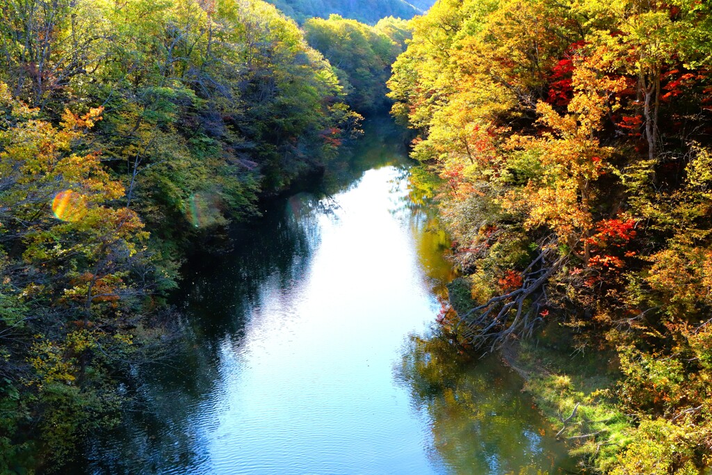 定山渓豊平川紅葉