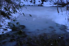 初冬（名もない沼）