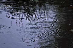 september rain(9月の雨）