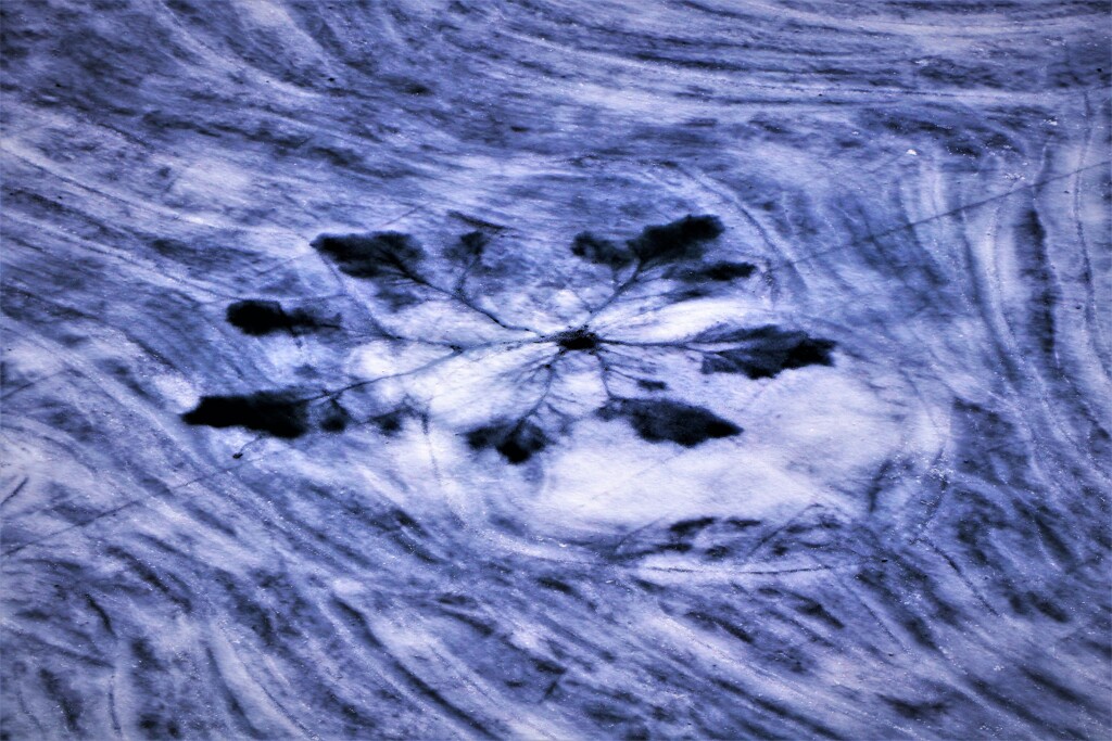 雪解け氷の紋様