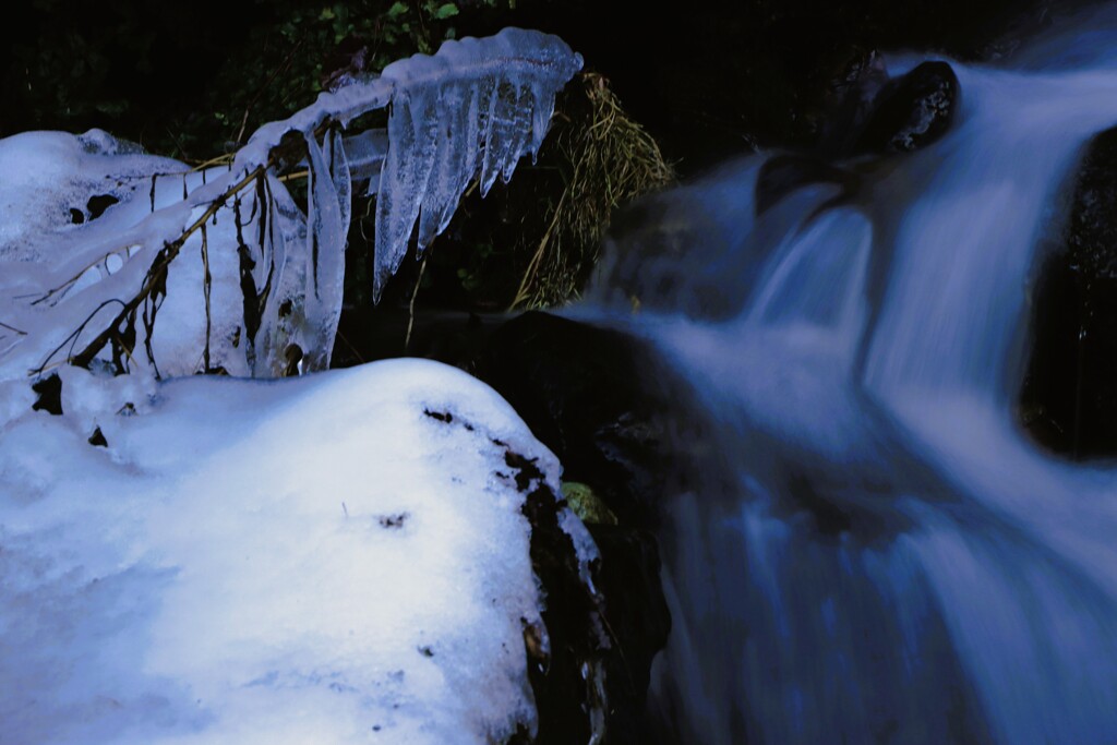 初冬（氷柱）