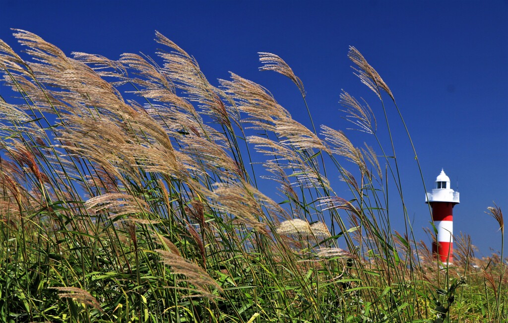 もう少しで秋がやって来る