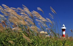 もう少しで秋がやって来る